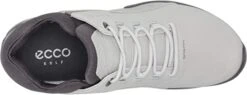 Ecco Men's Biom G3 Golf Shoes -CaddiesShack Sales Store EccoBiomG3 Concrete4