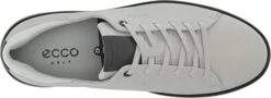 Ecco Men's Tray Golf Shoes -CaddiesShack Sales Store EccoTray ConcreteBlack4