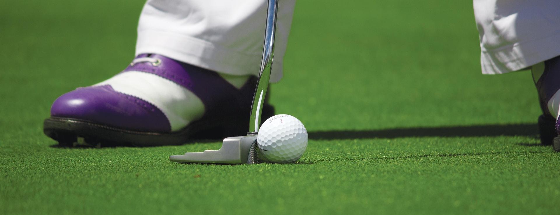 CaddiesShack Sales Store -CaddiesShack Sales Store golf 1284011 1920